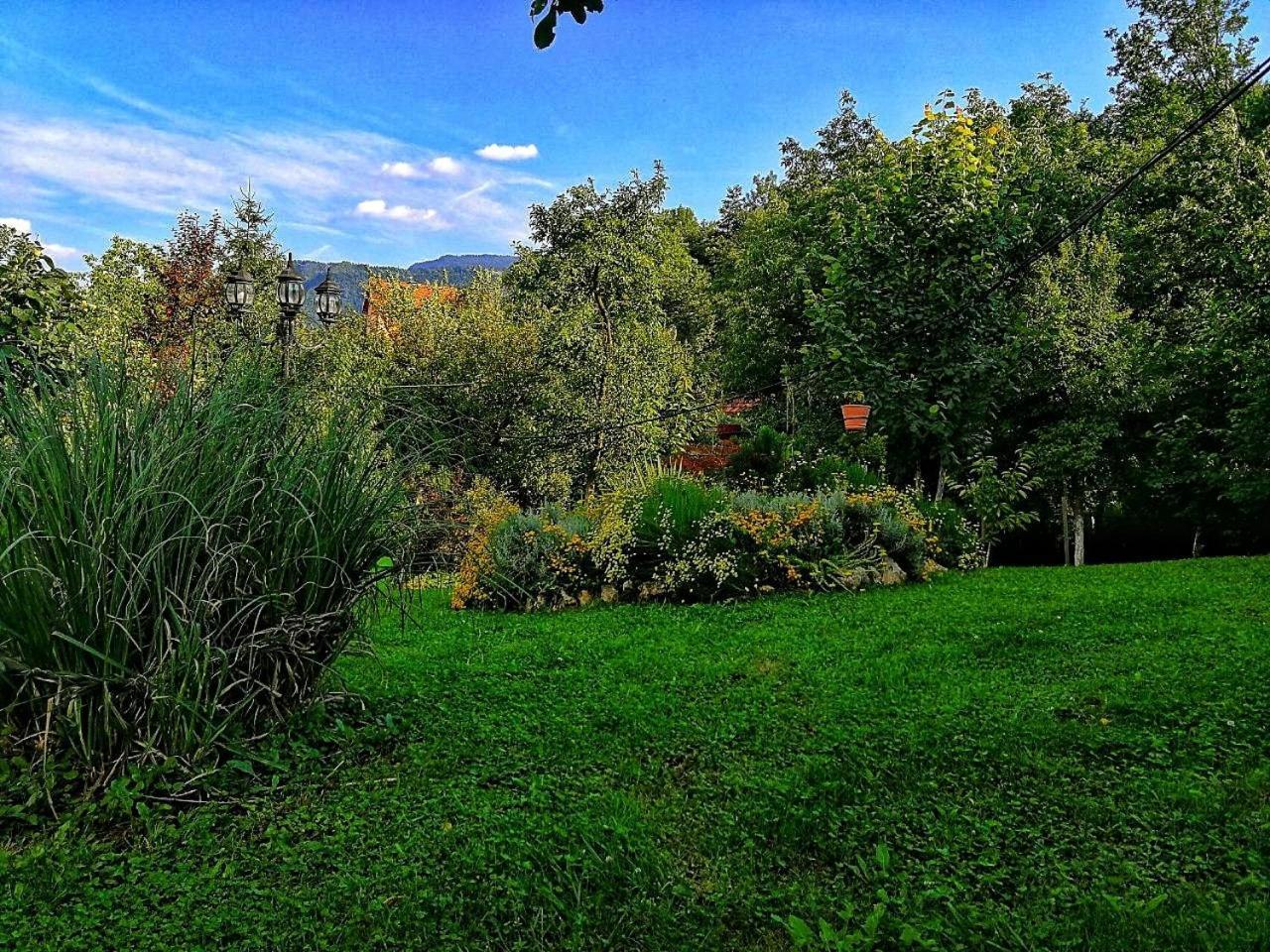 Paradise Garden SJJ Exteriör bild